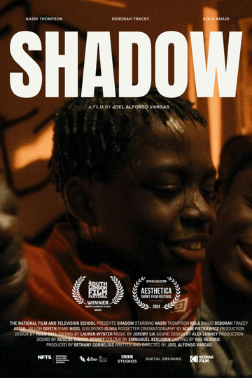 Shadow Poster