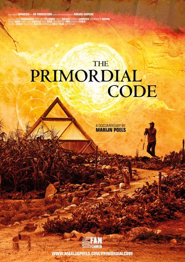 The Primordial Code