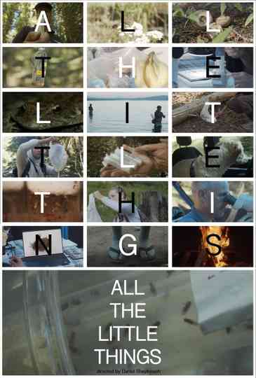 All the Little Things Poster