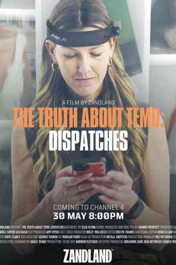 The Truth About Temu Poster