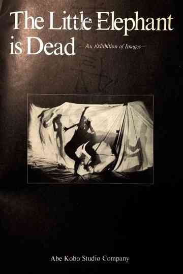 The Little Elephant is Dead / An Elephant Calf Is Dead Poster