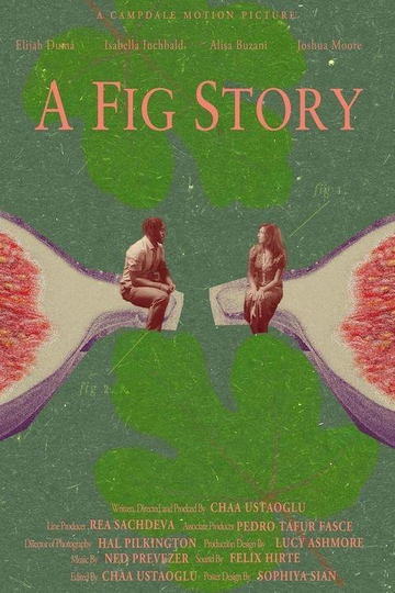 A Fig Story Poster