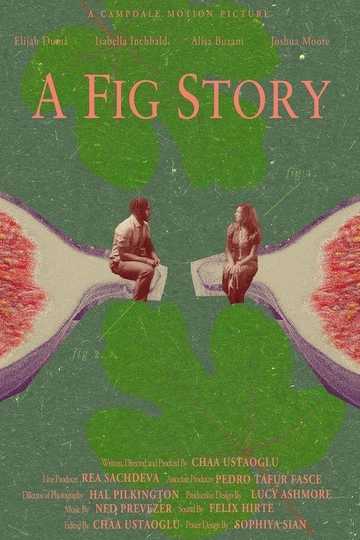 A Fig Story