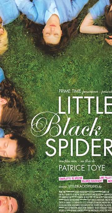 Little Black Spiders Poster