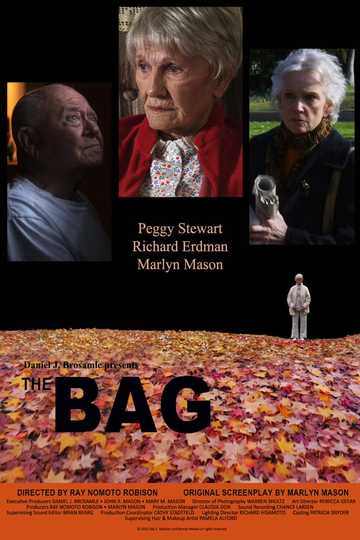 The Bag