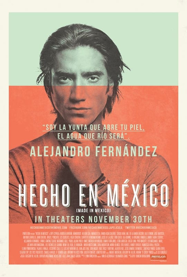 Made in Mexico Poster