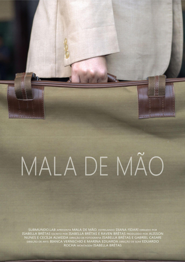 Mala de mão