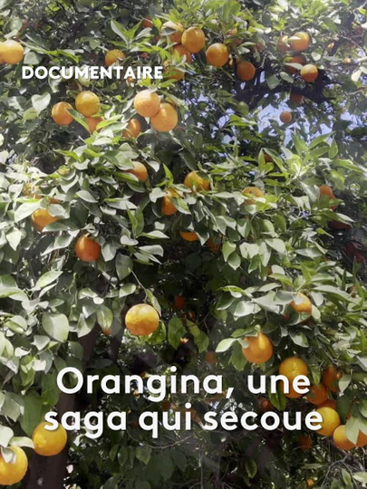 Orangina, une saga qui secoue