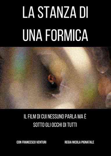 La Stanza Di Una Formica