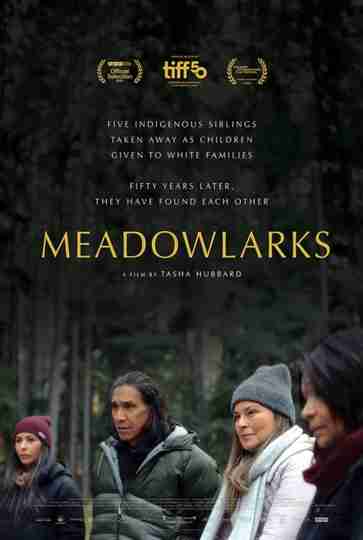 Meadowlarks Poster