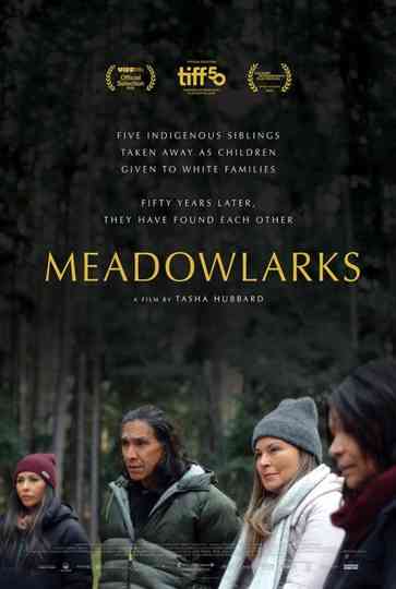 Meadowlarks Poster