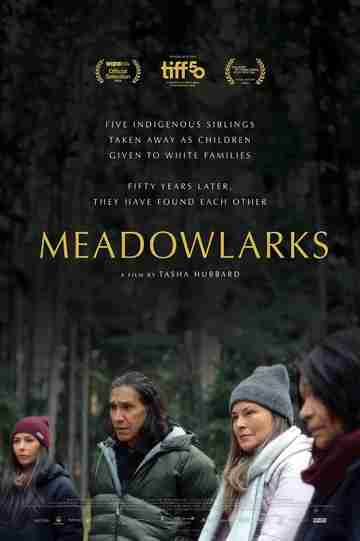 Meadowlarks Poster