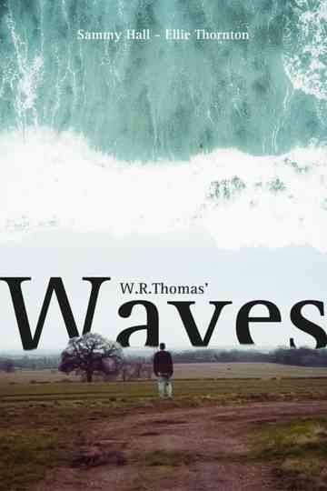 Waves Poster