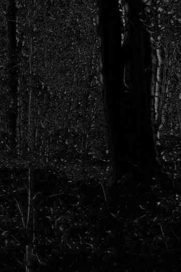 Phosphenes II