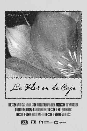 The Flower in the Box Poster