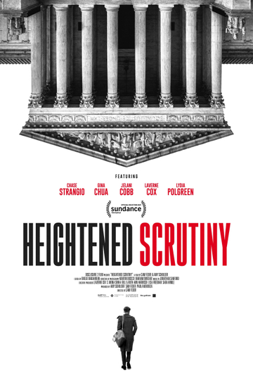 Heightened Scrutiny Poster