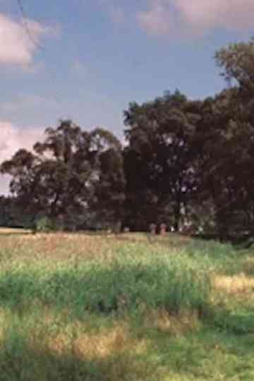 Practical Tips for Butterfly Collectors Poster