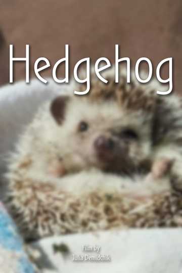 Hedgehog