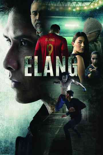 Elang