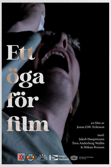 Ett öga för film