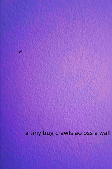 a tiny bug crawls across a wall