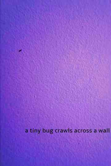 a tiny bug crawls across a wall