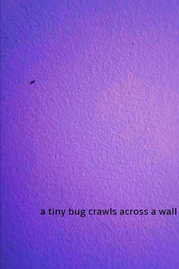 a tiny bug crawls across a wall