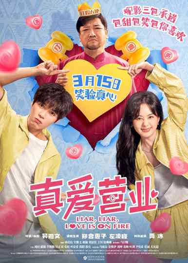 Liar, Liar, Love is on Fire Poster