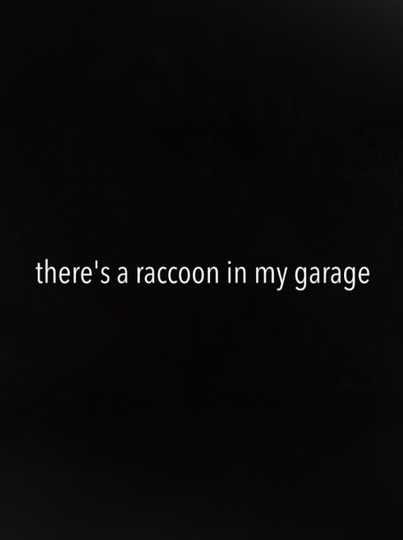 There's a Raccoon in My Garage