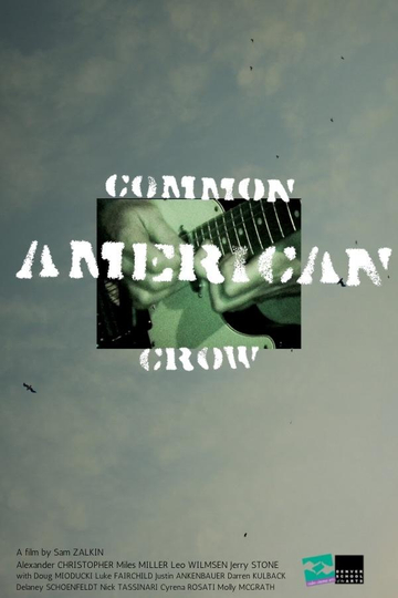 Common American Crow Poster