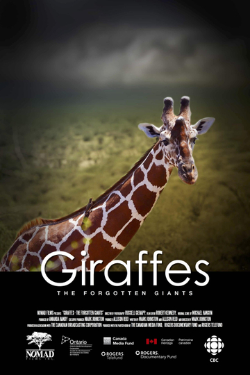 Giraffes: The Forgotten Giants