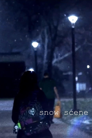 Snow Scene Poster