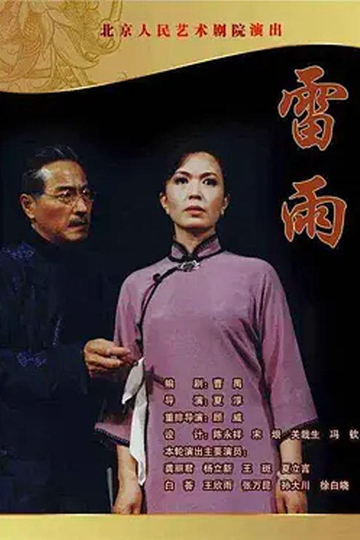 雷雨（2004） Poster