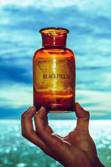 Blackfield V