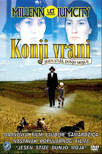 Konji vrani