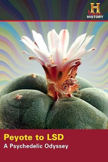 Peyote to LSD A Psychedelic Odyssey