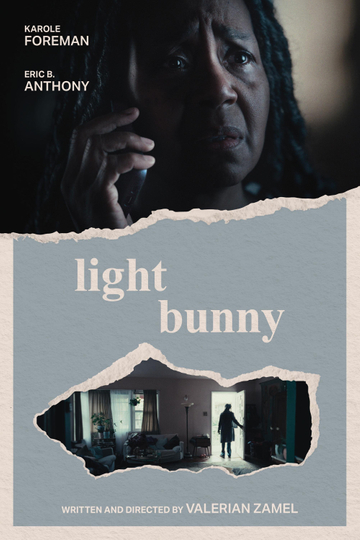 Light Bunny Poster