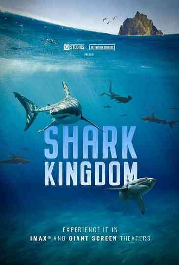 Shark Kingdom