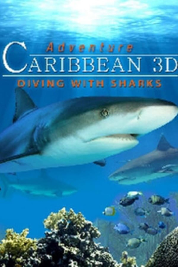 Adventure Caribbean 3D Diving With Sharks