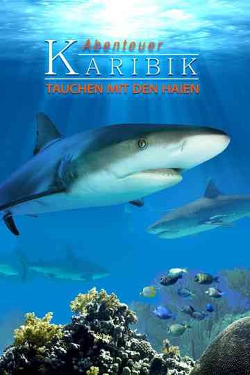 Adventure Caribbean 3D: Diving With Sharks