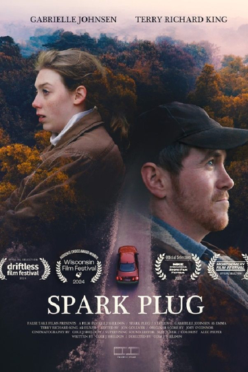 Spark Plug Poster