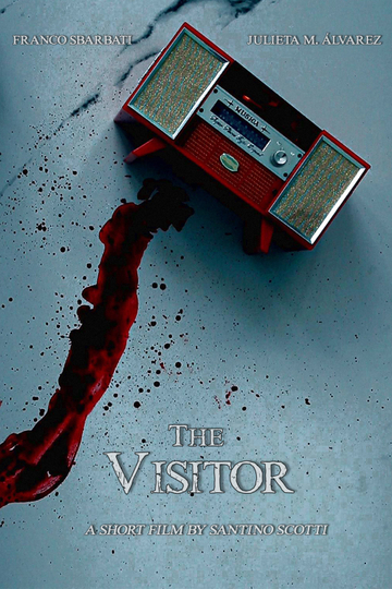 The Visitor