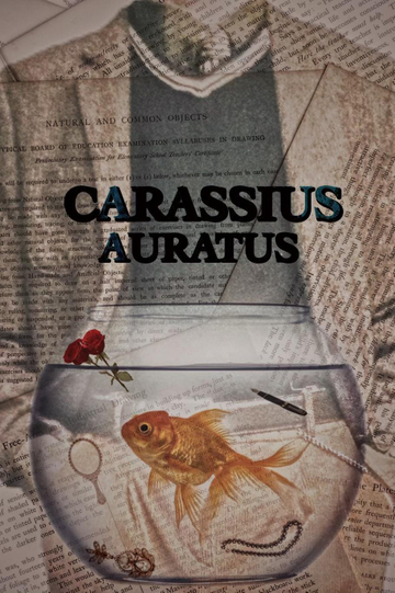 Carassius Auratus Poster