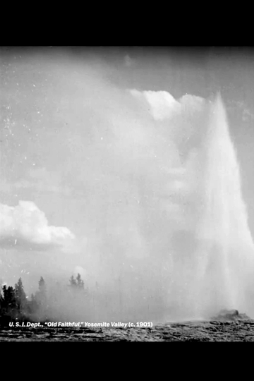 U.S.I. Dept., "Old Faithful," Yosemite Valley