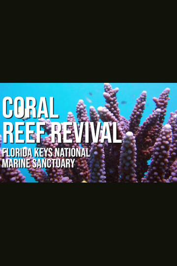 A Coral Reef Revival