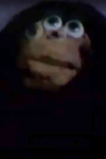 Frog Prince