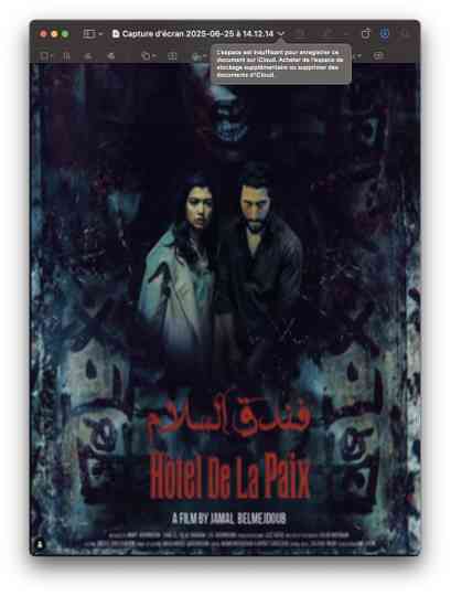 Hôtel de la Paix poster