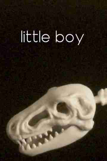 Little Boy Poster