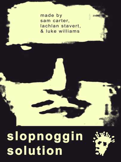 Slopnoggin Solution