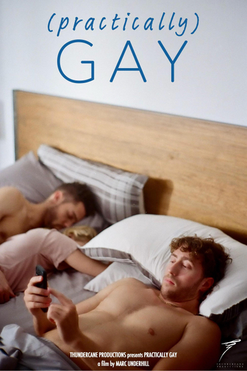 (Practically) Gay Poster